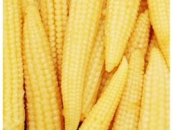 Baby Corn – 175g