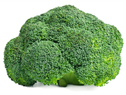 Organic Broccoli Head – Single
