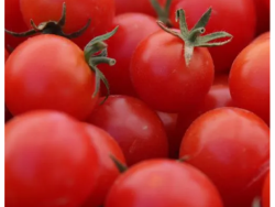 Cocktail Tomatoes – 200g