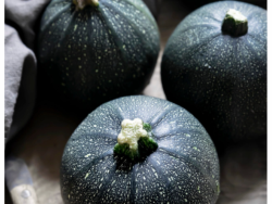 Organic Gem Squash