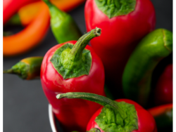 Habanero Chillies XX Hot – 250g