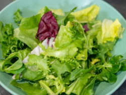 Harvest Fresh 4 Leaf Salad Pillow Pack – 180g