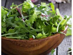 Harvest Fresh Herb Salad Pillow Pack – 180g
