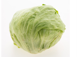 Large Organic Iceberg Lettuce Head – Single