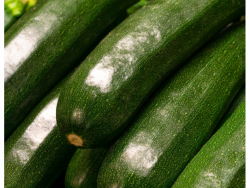 Organic XXL Marrow – 700g Pack
