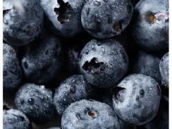 Local Fresh Co Blueberries