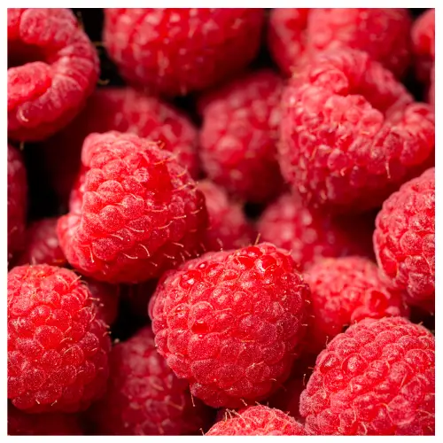 Local Fresh Co Fresh Raspberry