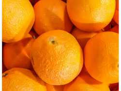 Local Fresh Co Organic Oranges