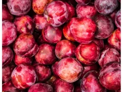 Local Fresh Co Plums