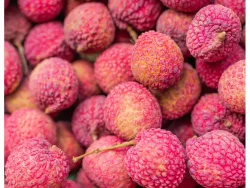 Red Mauritian Litchis 500g