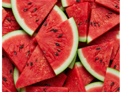 Local Fresh Co Large Organic Watermelon