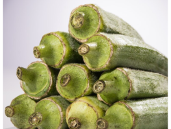 Organic Okra – Punnet