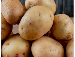 Organic Potatoes