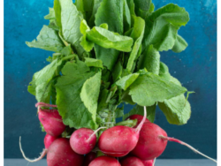 Organic Radish – 150g