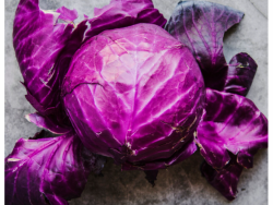 Red Cabbage – Single