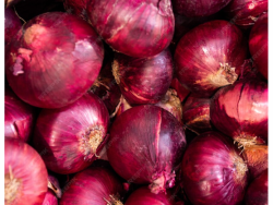 Whole Organic Red Onions