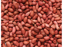 Organic Red Skinned Raw Peanuts