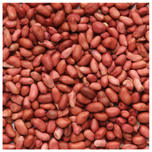 Organic Red Skinned Raw Peanuts