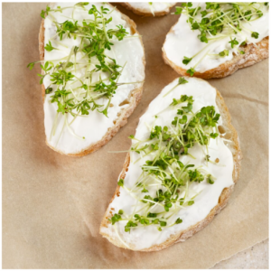 Smooth Cream Cheese Bucket – 1kg