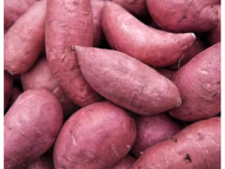 Organic Sweet Potatoes