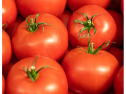 Large Tomatoes