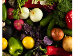 Vegetable Boxes
