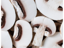 White Button Mushrooms