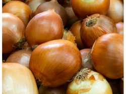 Whole Organic White Onions